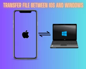 Read more about the article Best Way to transfer files between iPhone(iOS) and PC(Windows)